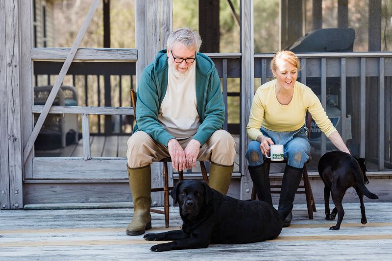 Senior couple relaxing on their porch with their dogs